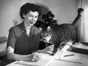 A woman smiles while working at a desk as a tabby cat stands on her papers. The room is bright with a plant in the background.