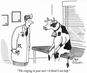 A cartoon shows a doctor speaking to a cow sitting on an exam table wearing a bell. The caption reads: 'The ringing in your ears—I think I can help.'