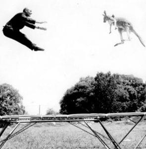 A black-and-white photo shows a man and a kangaroo both mid-air above a trampoline outdoors, appearing to leap or jump simultaneously. Trees and bushes are visible in the background.
